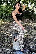 Foto Immagine Adriana Paulett Trans Merano - 146
