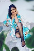 Foto Immagine Akita Trans Asiatica Trans Padova - 49