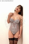 Foto Immagine Akita Trans Asiatica Trans Padova - 32