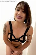 Foto Immagine Akita Trans Asiatica Trans Padova - 30