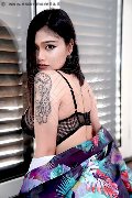Foto Immagine Akita Trans Asiatica Trans Padova - 42