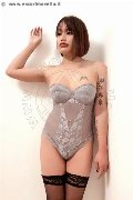 Foto Immagine Akita Trans Asiatica Trans Padova - 33