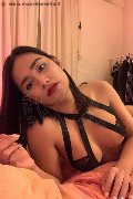 Foto Immagine Akita Trans Asiatica Trans Padova - 56