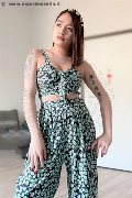 Foto Immagine Akita Trans Asiatica Trans Padova - 37