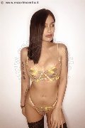 Foto Immagine Akita Trans Asiatica Trans Padova - 11