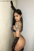 Foto Immagine Akita Trans Asiatica Trans Padova - 10