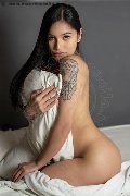 Foto Immagine Akita Trans Asiatica Trans Padova - 5