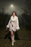 Foto Immagine Alanis Trans Torino - 55