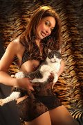 Foto Immagine Alessa Venezuelana Escort Verbania - 39