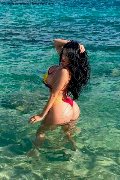 Foto Immagine Alessandra Xxii Trans Gallarate - 39