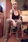 Foto Immagine Alessia Bona Massaggiatrice Bionda Trans Piacenza - 9