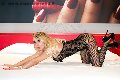 Foto Immagine Alexandra Miss Girl Foggia - 32