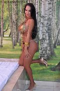 Foto Immagine Aline Fenaroly Trans Milano - 88