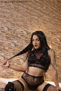 Foto Immagine Ana Conda Trans Ibiza - 11