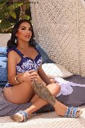 Foto Immagine Ana Conda Trans Ibiza - 22