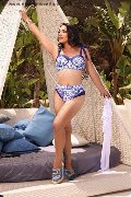 Foto Immagine Ana Conda Trans Ibiza - 23
