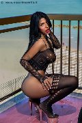 Foto Immagine Anaconda Grande Trans Pescara - 16