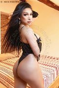 Foto Immagine Angel Bunny Trans Milano - 64