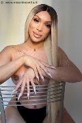 Foto Immagine Angel Bunny Trans Milano - 5