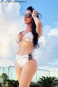 Foto Immagine Barbara Pink Trans Forte Dei Marmi - 19