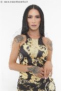 Foto Immagine Barbara Pink Trans Forte Dei Marmi - 43