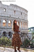 Foto Immagine Bely Trans Bologna - 29