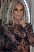 Foto Immagine Bruna Dior Trans Alba Adriatica - 11