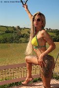 Foto Immagine Bruna Xxl Trans Parma - 5
