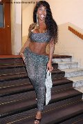 Foto Immagine Campbell Trans Milano - 2
