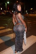 Foto Immagine Campbell Trans Milano - 6