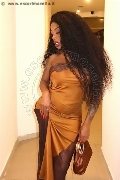 Foto Immagine Campbell Trans Padova - 45