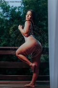 Foto Immagine Cinzia Escort Milano - 15