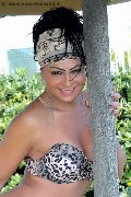 Foto Immagine Daysy Trans Gallarate - 19