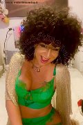 Foto Immagine Daysy Trans Gallarate - 7