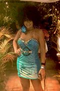 Foto Immagine Daysy Trans Gallarate - 8