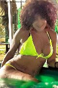Foto Immagine Daysy Trans Gallarate - 5