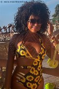 Foto Immagine Daysy Trans Gallarate - 2
