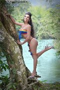 Foto Immagine Eliana Trans Cannes - 69