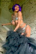 Foto Immagine Erotika Flavy Star Trans Bergamo - 68