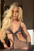 Foto Immagine Fernanda Ambrosio Trans Milano - 58