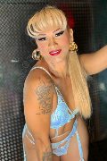 Foto Immagine Gaja Trans Ibiza - 47