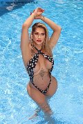Foto Immagine Gaja Trans Ibiza - 6