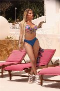 Foto Immagine Gaja Trans Ibiza - 3