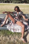 Foto Immagine Graicy Ohara Pornostar Trans Colonnella - 12