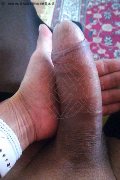 Foto Immagine Hot Agatha Trans Calenzano - 8