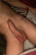 Foto Immagine Hot Nick Lonning Trans Altopascio - 1