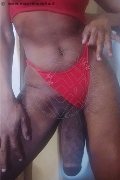 Foto Immagine Hot Virna La Super Dotata Trans Milano - 2
