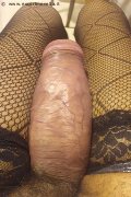 Foto Immagine Hot Virna La Super Dotata Trans Milano - 6