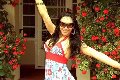Foto Immagine Ivana Spears Pornostar Trans Leiria - 72
