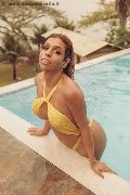 Foto Immagine Jessica Aryani Trans Brescia - 31